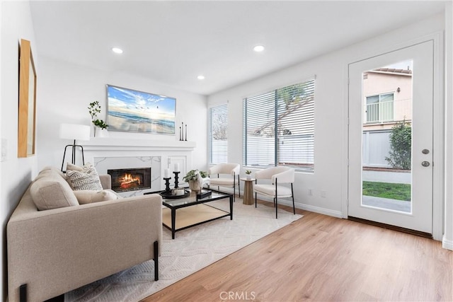 living room with a premium fireplace and light hardwood / wood-style floors