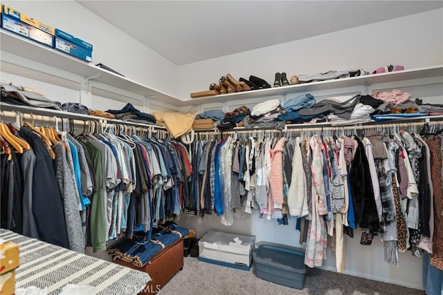 spacious closet featuring carpet flooring