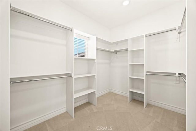 spacious closet with light carpet