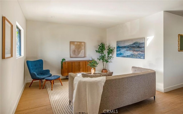 living room featuring hardwood / wood-style floors