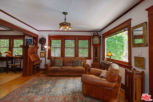 living room with hardwood / wood-style flooring, ornamental molding, an inviting chandelier, and a textured ceiling