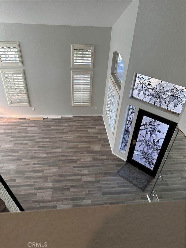 entrance foyer featuring dark wood-type flooring