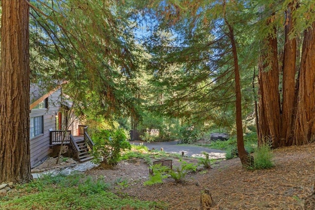 view of yard featuring a wooden deck