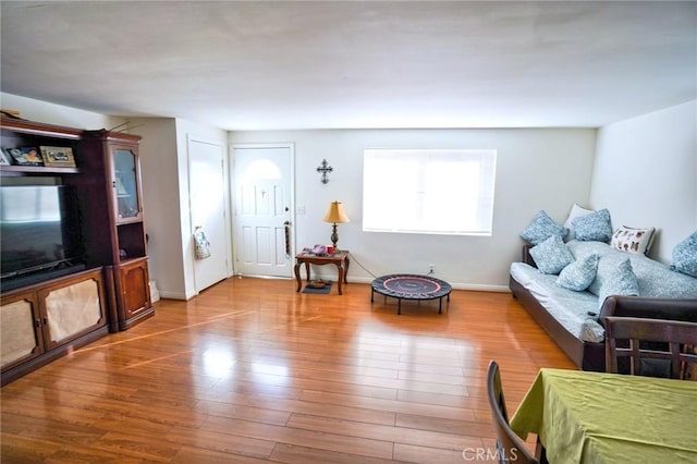 living room with wood-type flooring