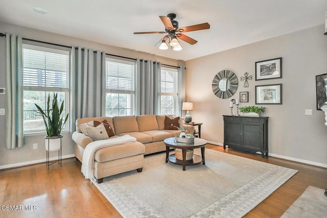 living room featuring ceiling fan and hardwood / wood-style floors