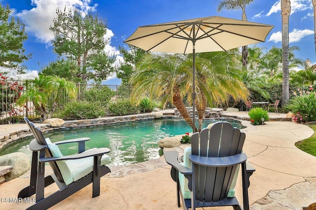 view of swimming pool featuring a patio area