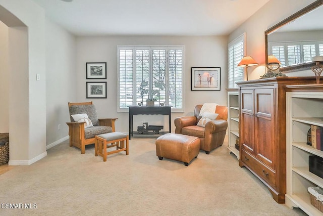 living area featuring light colored carpet