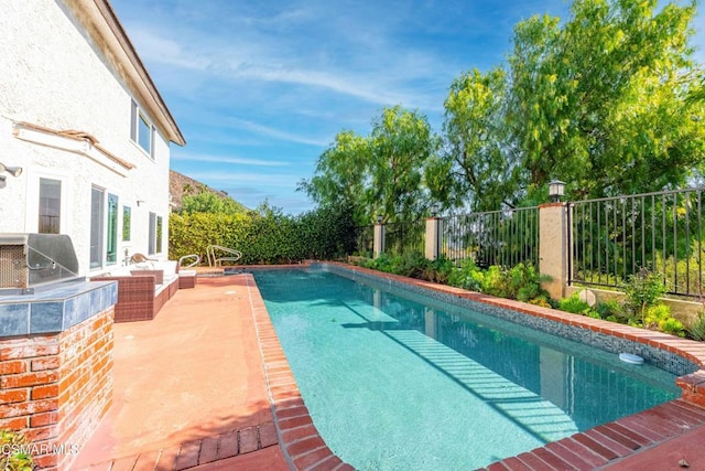 view of swimming pool with a grill