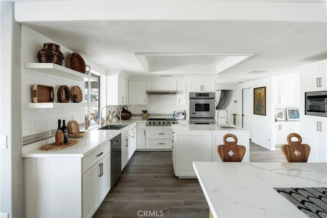 kitchen featuring sink, stainless steel appliances, a raised ceiling, and a kitchen island