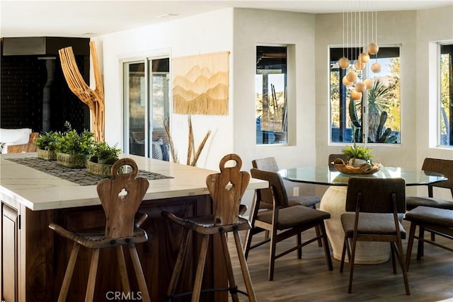 dining space with plenty of natural light and dark hardwood / wood-style floors