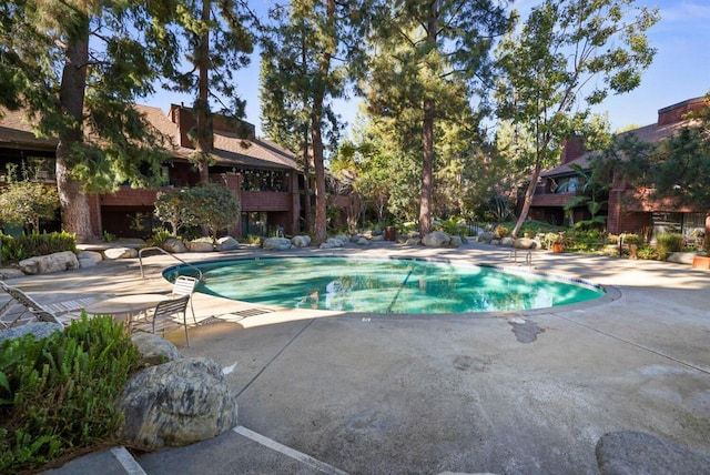 view of swimming pool featuring a patio