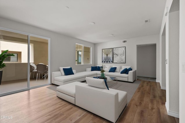 living room with hardwood / wood-style floors