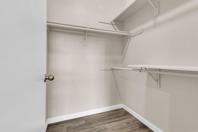 walk in closet featuring hardwood / wood-style flooring