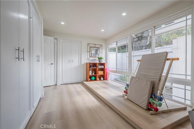 recreation room featuring light hardwood / wood-style floors