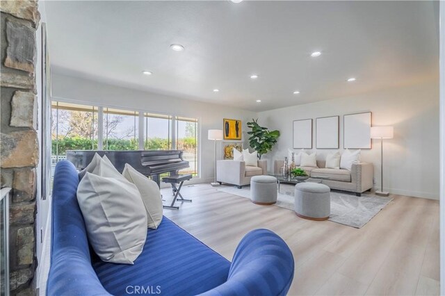 living room with light wood-type flooring