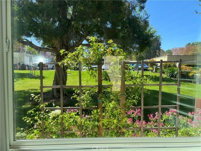 view of grassy yard