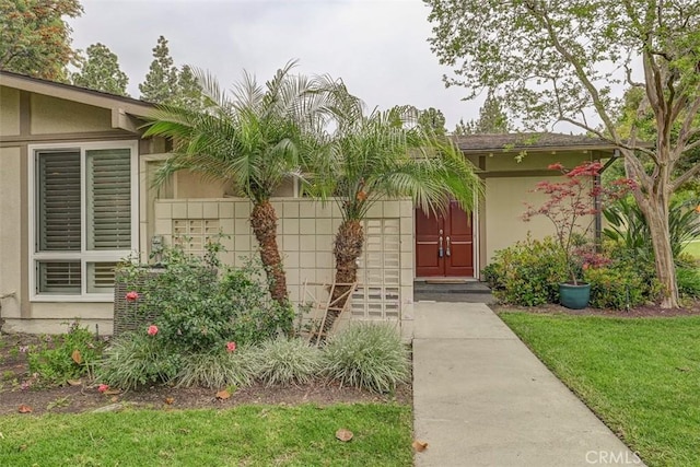 view of exterior entry featuring stucco siding and a yard