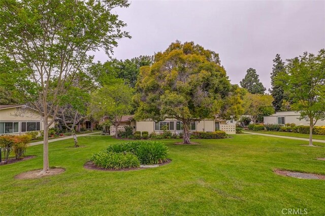 241 Calle Aragon Unit B, Laguna Woods, CA 92637 - view of grassy yard
