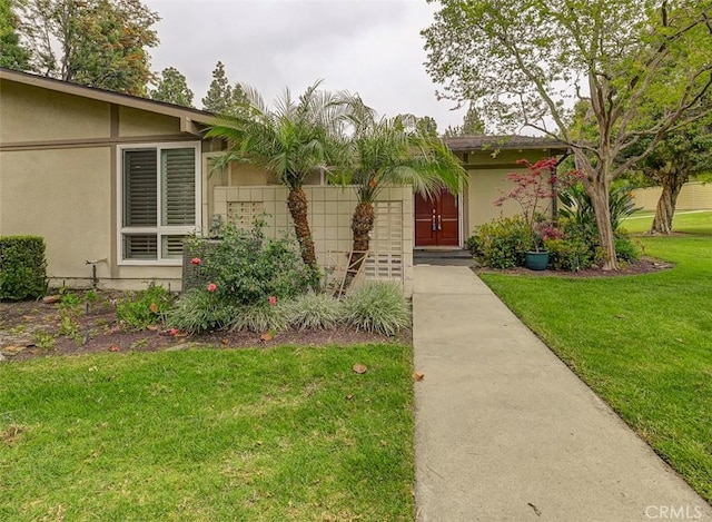 view of exterior entry with a yard and stucco siding