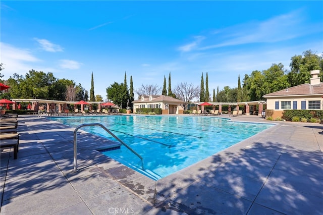 view of swimming pool with a patio