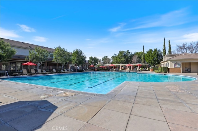 view of swimming pool with a patio