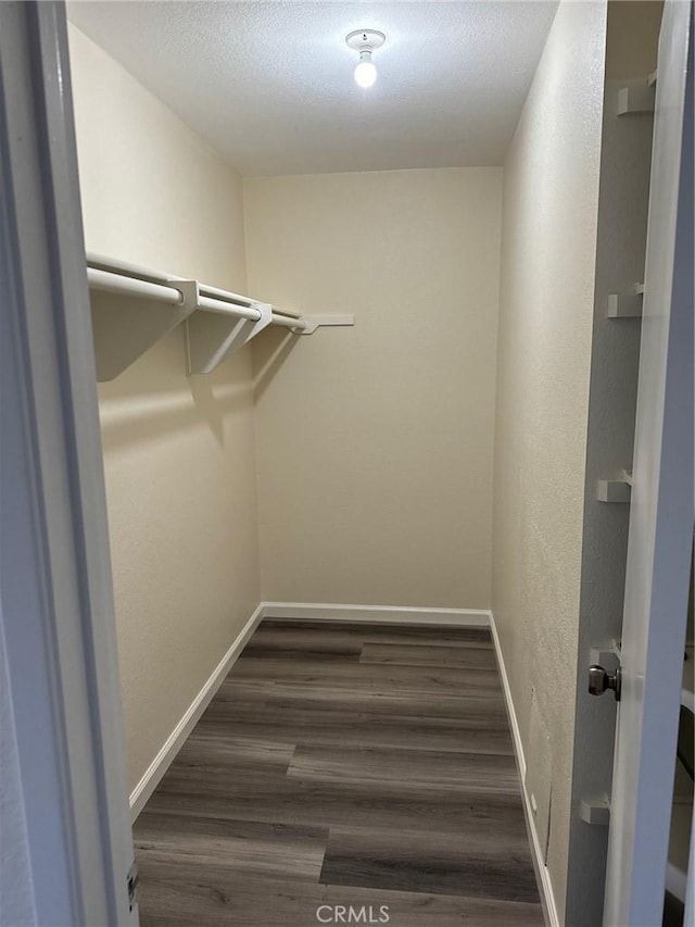 spacious closet with dark wood-type flooring