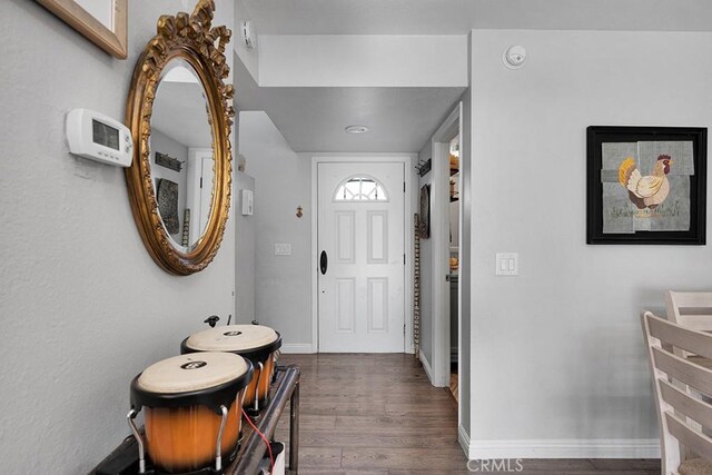 foyer with dark wood-type flooring