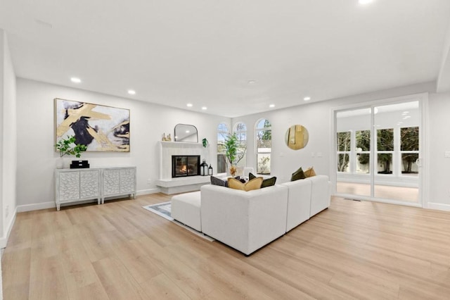 living room featuring light hardwood / wood-style floors