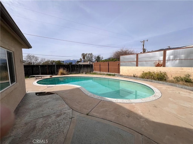 view of swimming pool featuring a diving board, a patio, a fenced backyard, and a fenced in pool