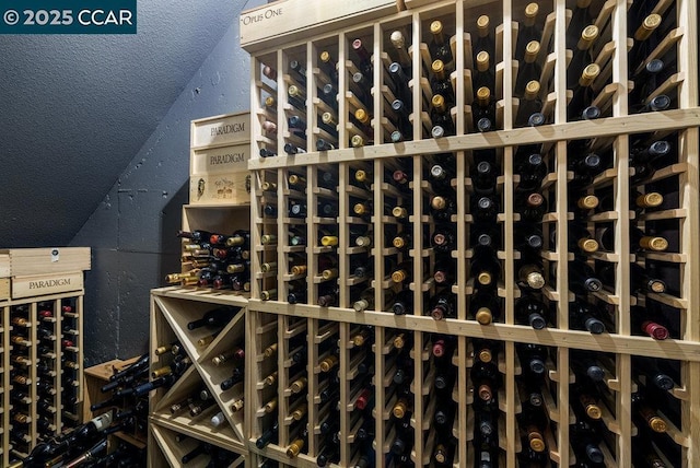 wine cellar featuring vaulted ceiling and a textured ceiling