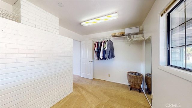 spacious closet featuring light carpet