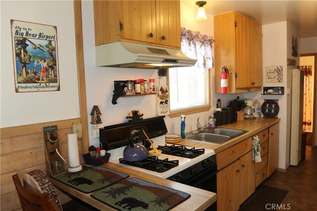 kitchen featuring gas range and sink