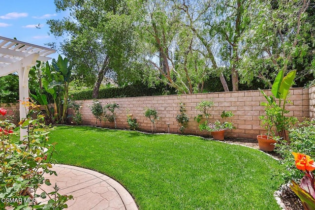 view of yard featuring a pergola