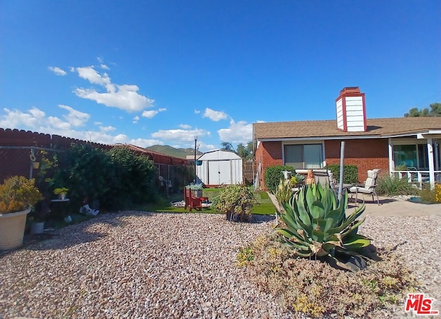 view of yard with a patio and a shed