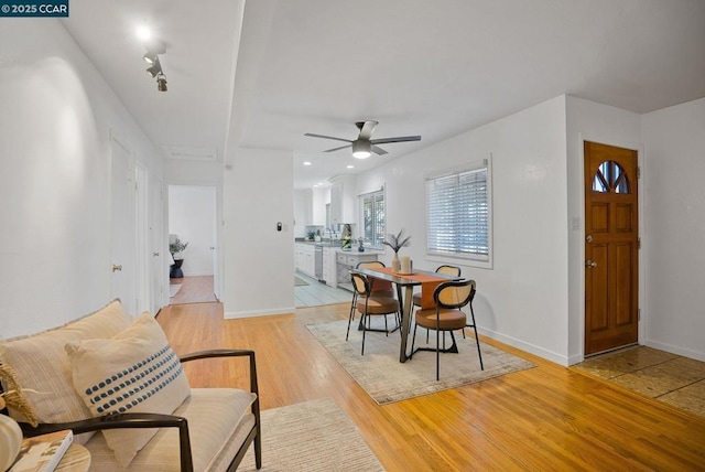 dining area with ceiling fan and light wood-type flooring