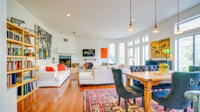 dining room with plenty of natural light and hardwood / wood-style floors