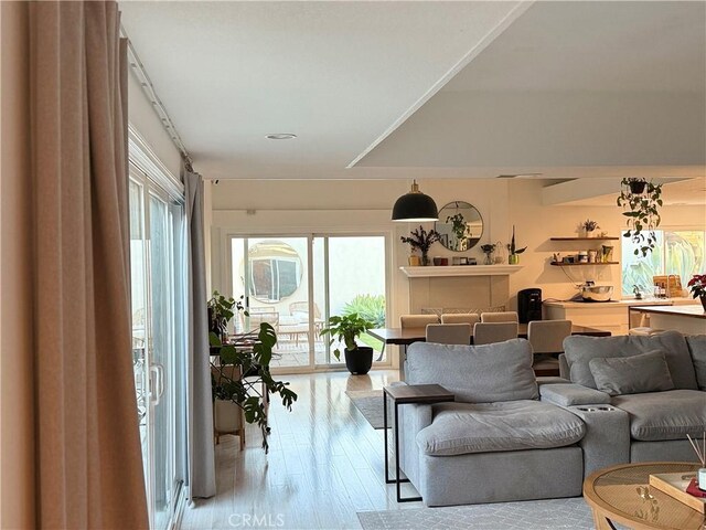 living room with light hardwood / wood-style flooring