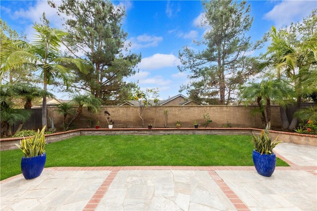 view of yard with a patio