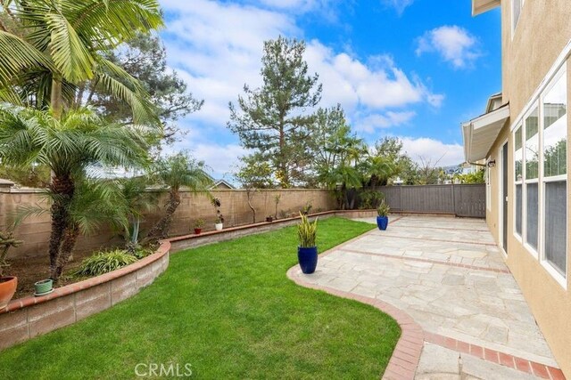 view of yard with a patio