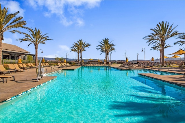 view of pool featuring a patio