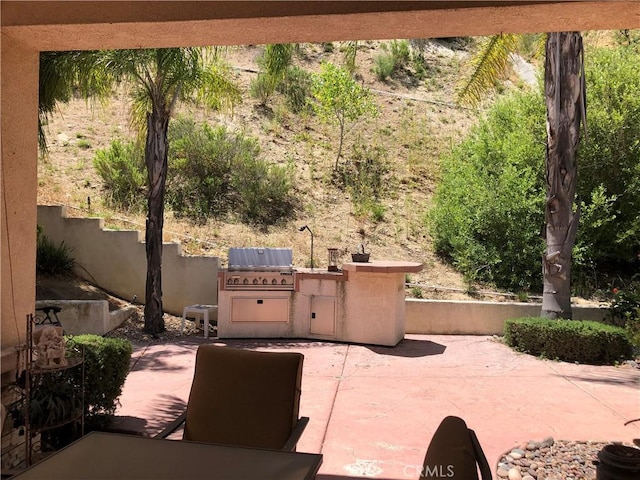 view of patio / terrace featuring a grill, a fenced backyard, and area for grilling