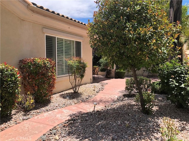 view of yard featuring a patio area