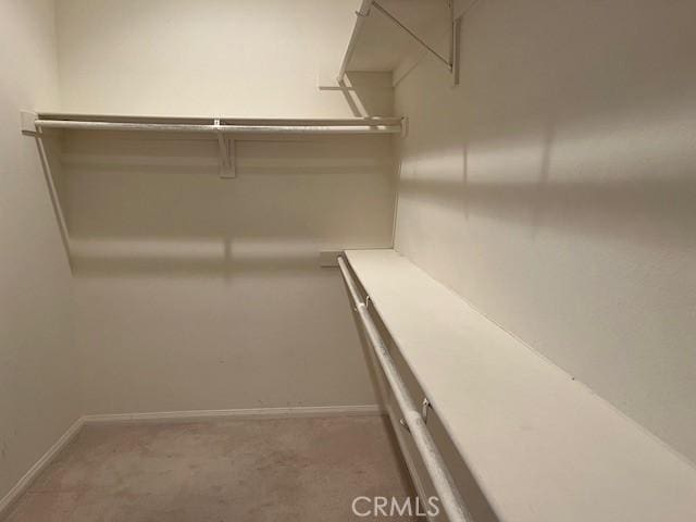 spacious closet featuring carpet