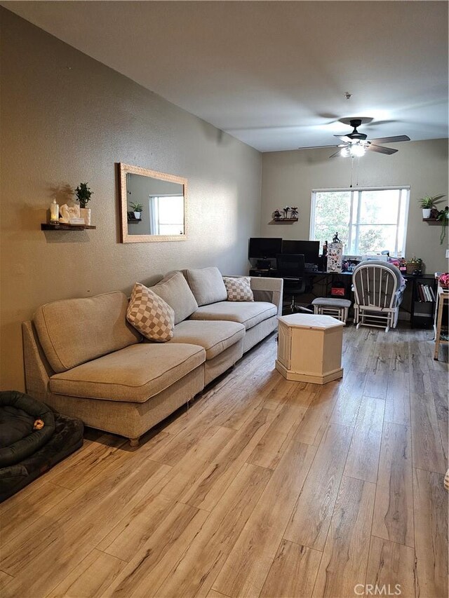 living room featuring ceiling fan and light hardwood / wood-style flooring