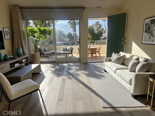 32505 Candlewood Dr Unit 54, Cathedral City, CA 92234 - living room with wood finished floors and plenty of natural light