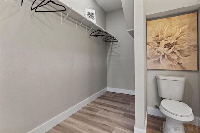 walk in closet featuring wood-type flooring