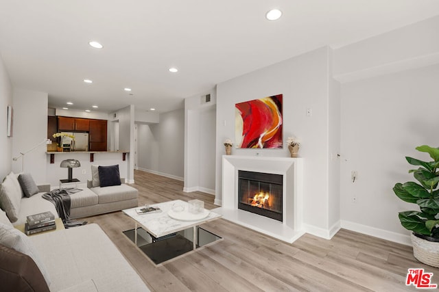 living room featuring light hardwood / wood-style flooring