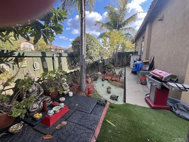 view of yard with a patio