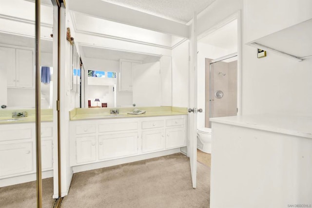 bathroom featuring an enclosed shower, vanity, a textured ceiling, and toilet