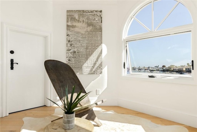 sitting room featuring light hardwood / wood-style flooring